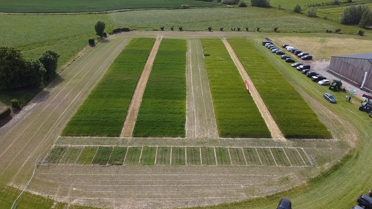 Persartikel Boer en Tuinder 5 aug. 2021: Duurzame Vlaamse LU Harmony tarwe