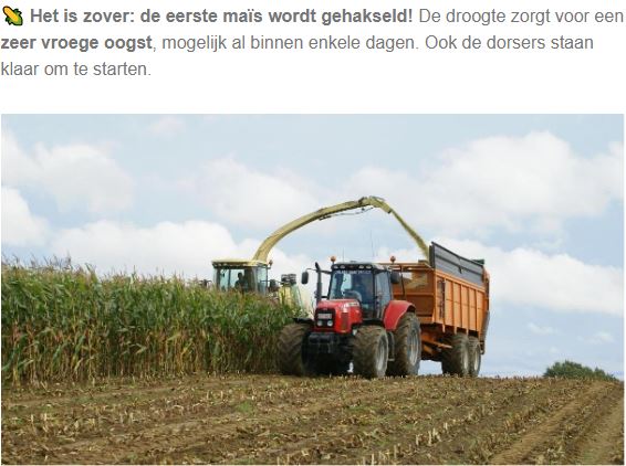 Persartikel Boer en Tuinder 5 aug. 2021: Duurzame Vlaamse LU Harmony tarwe