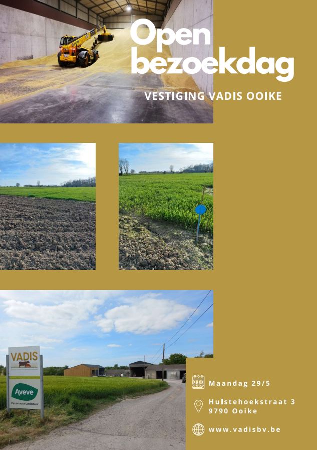 Persartikel Boer en Tuinder 5 aug. 2021: Duurzame Vlaamse LU Harmony tarwe